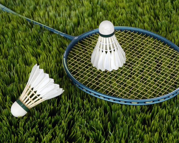 Badminton equipment