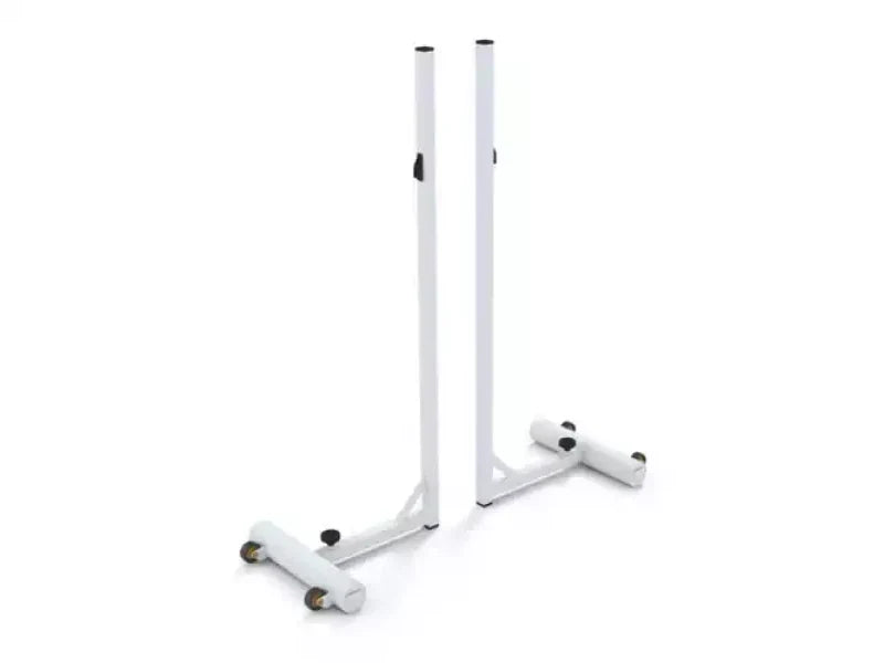 Badminton posts