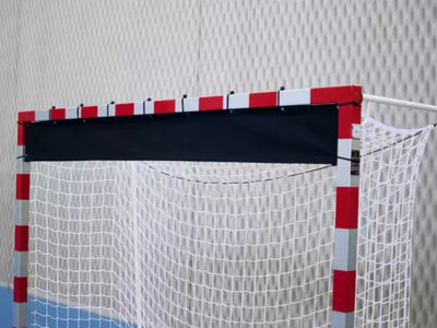 Handball goal