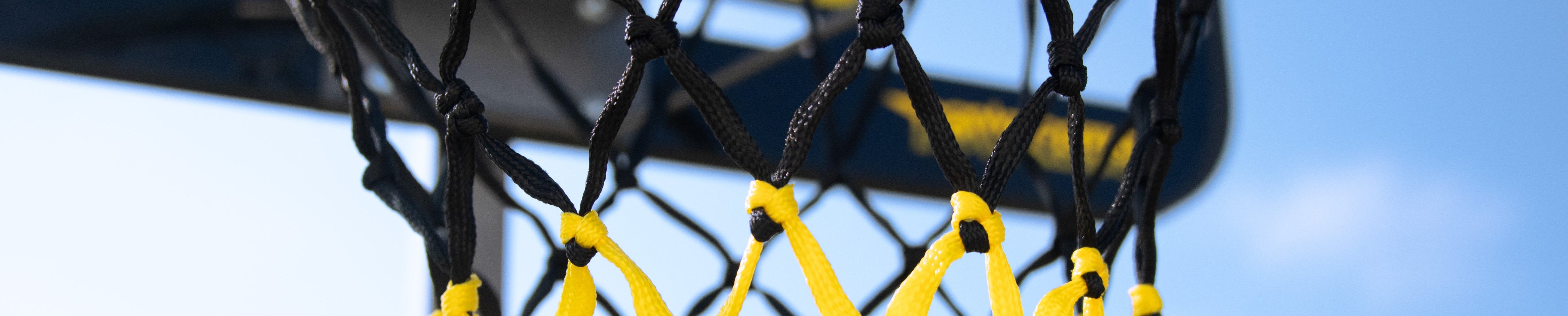Indoor basketball hoops