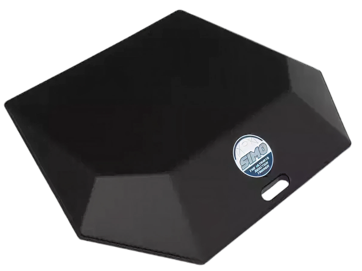 Professional goalkeeper training