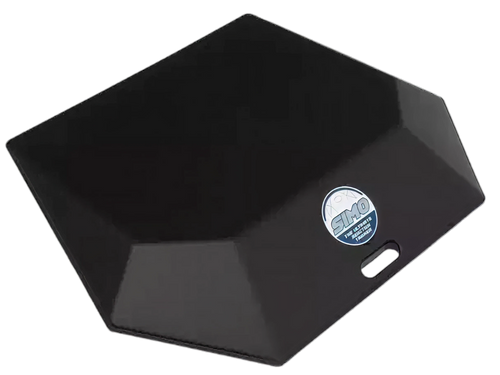 Professional goalkeeper training