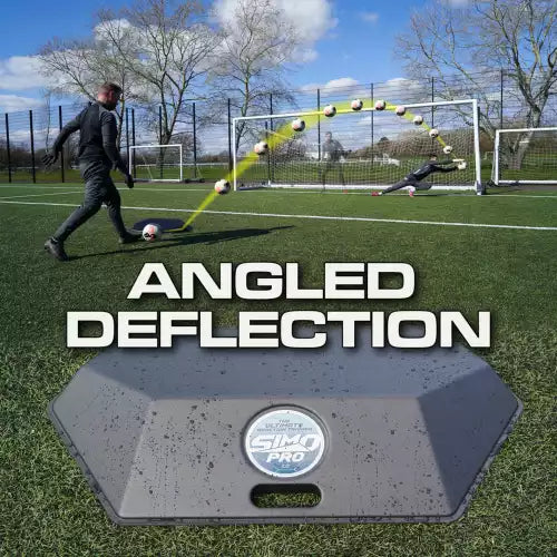 Professional goalkeeper training