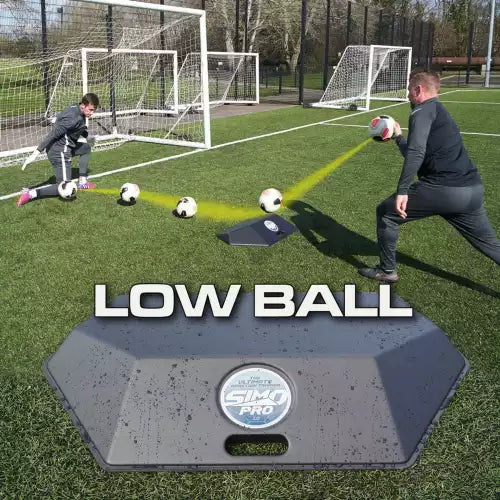 Professional goalkeeper training