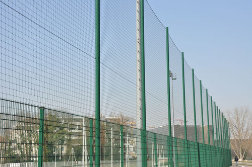 Posts and protective netting - 36m - Height: 6m