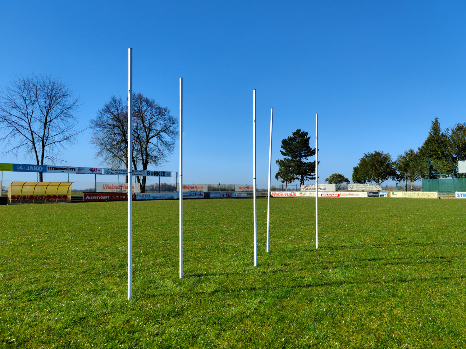 Set of 5 slalom poles