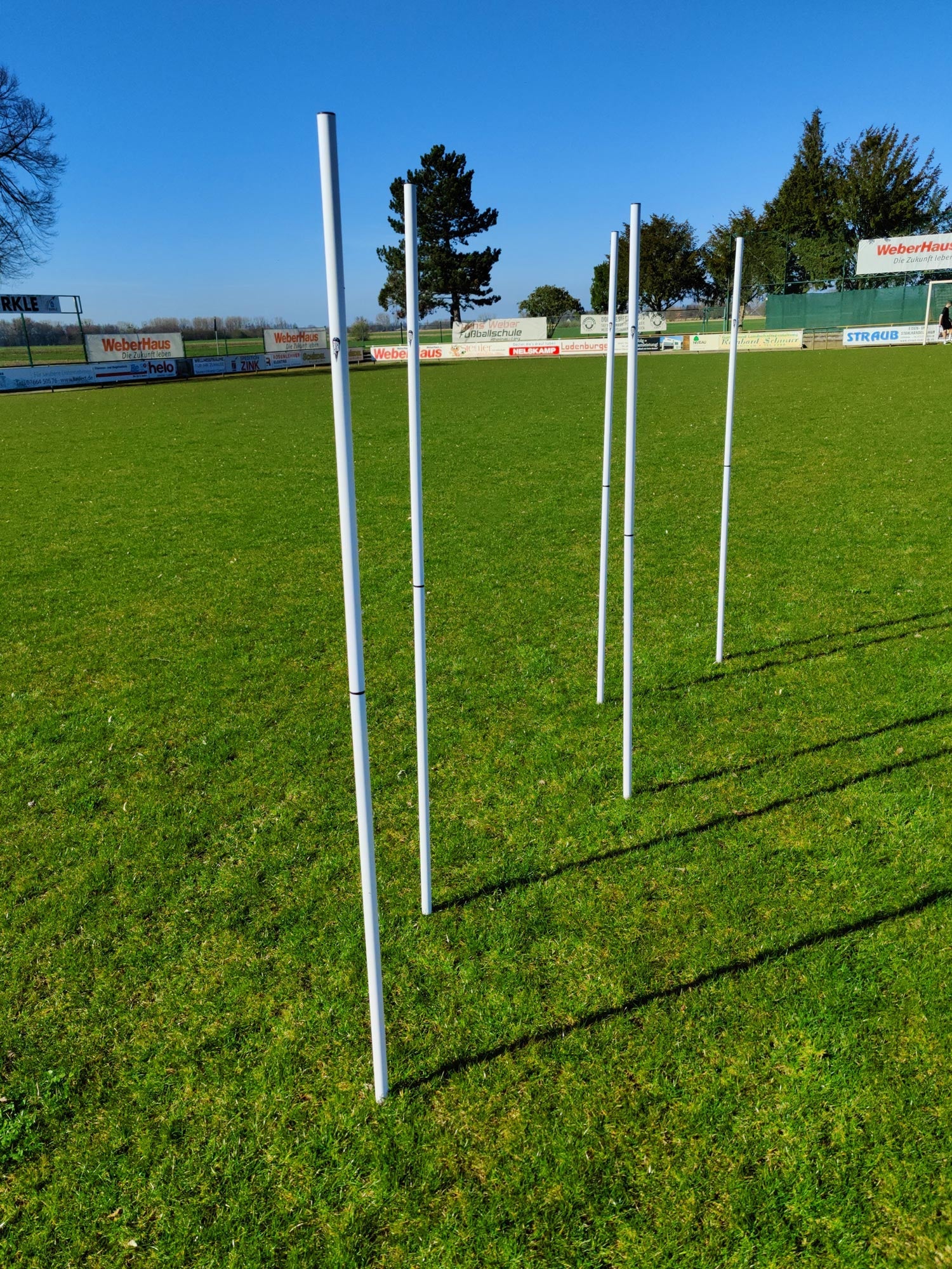 Set of 5 slalom poles