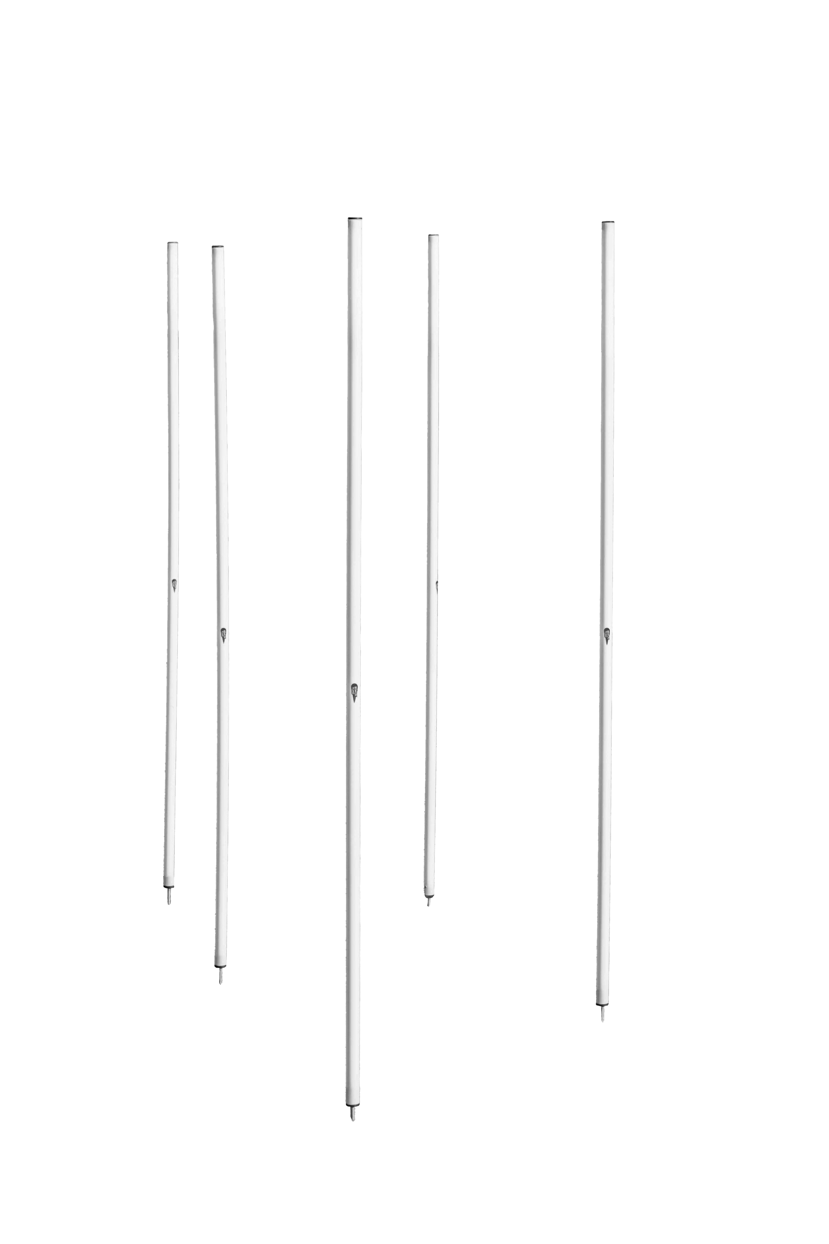 Set of 5 slalom poles
