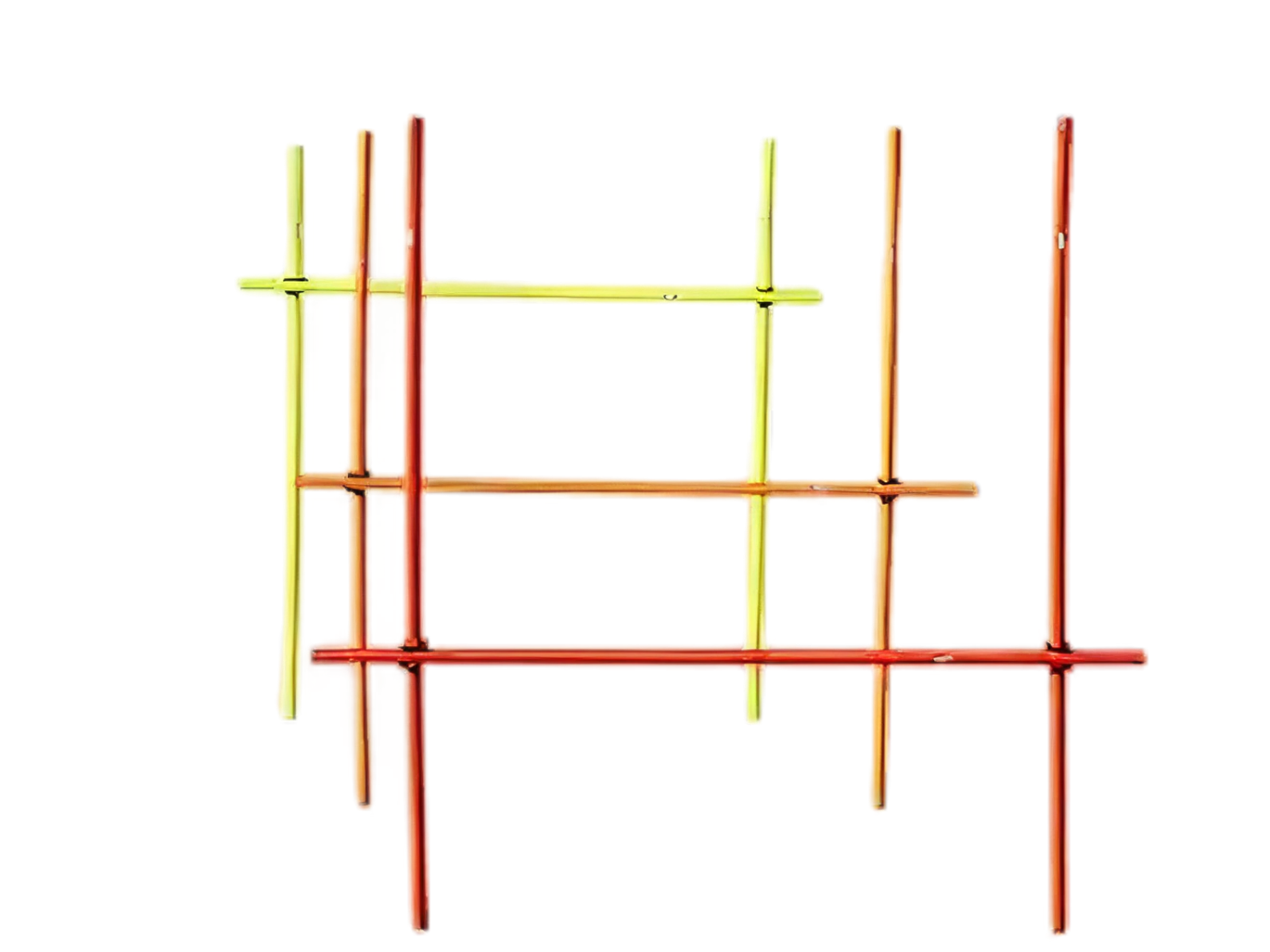 Outdoor training kit - 9 Training Poles with Clips and Carry Bag