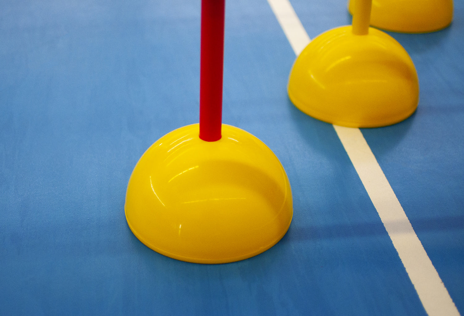 Training kit with carrying bag