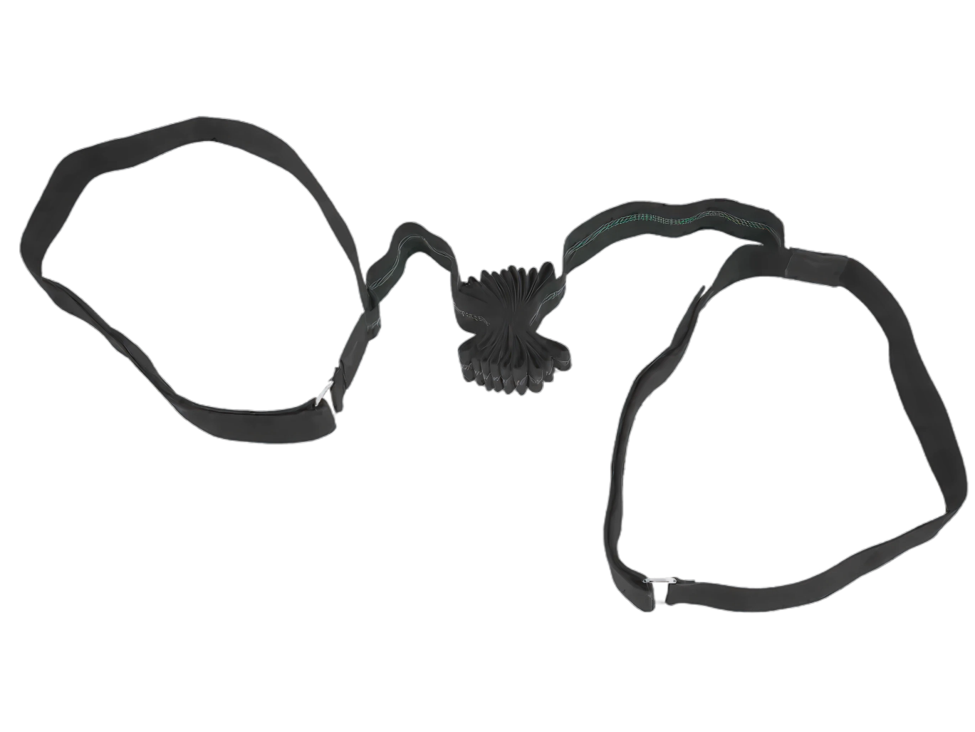 Dual Resistance Training Harness