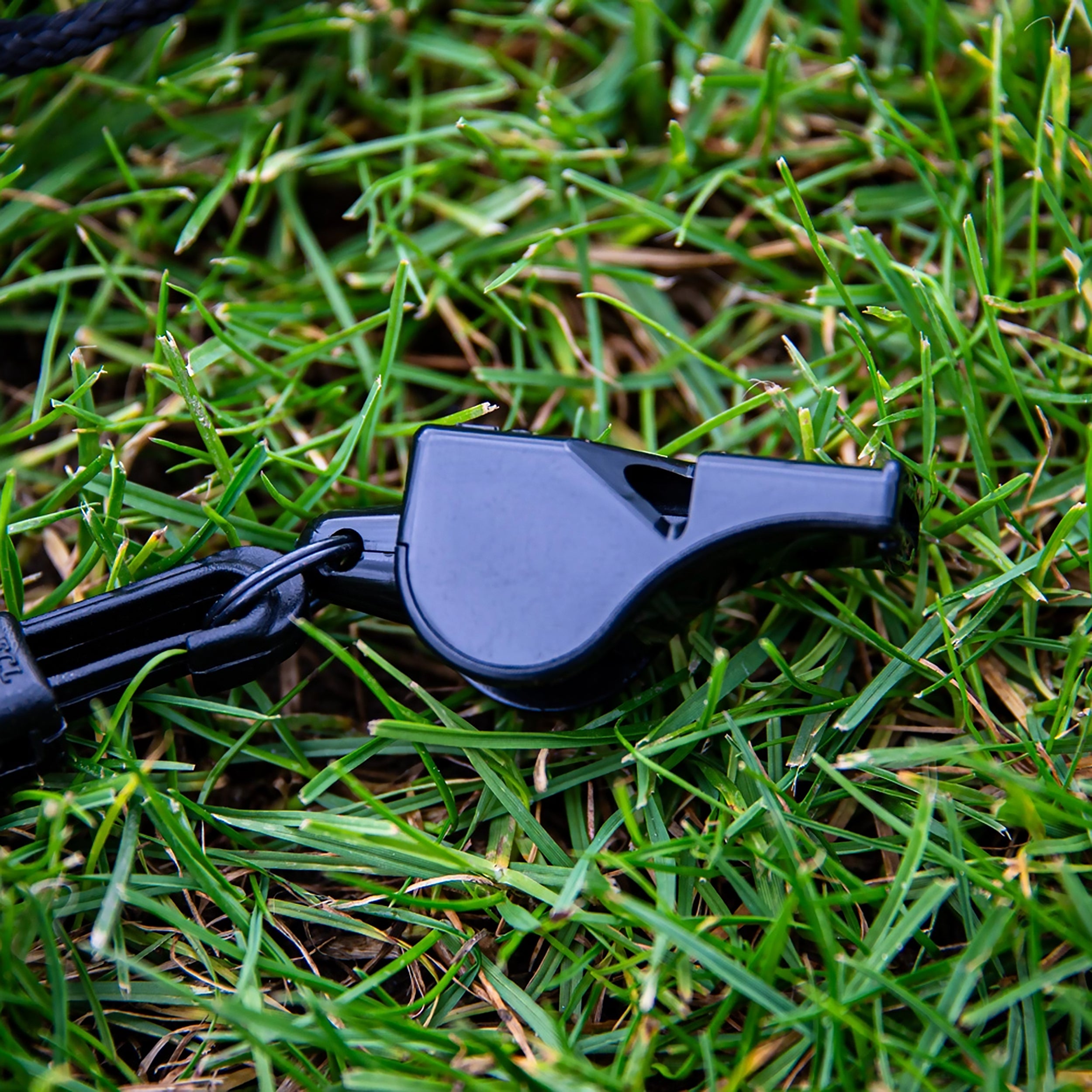 Referee whistle with lanyard