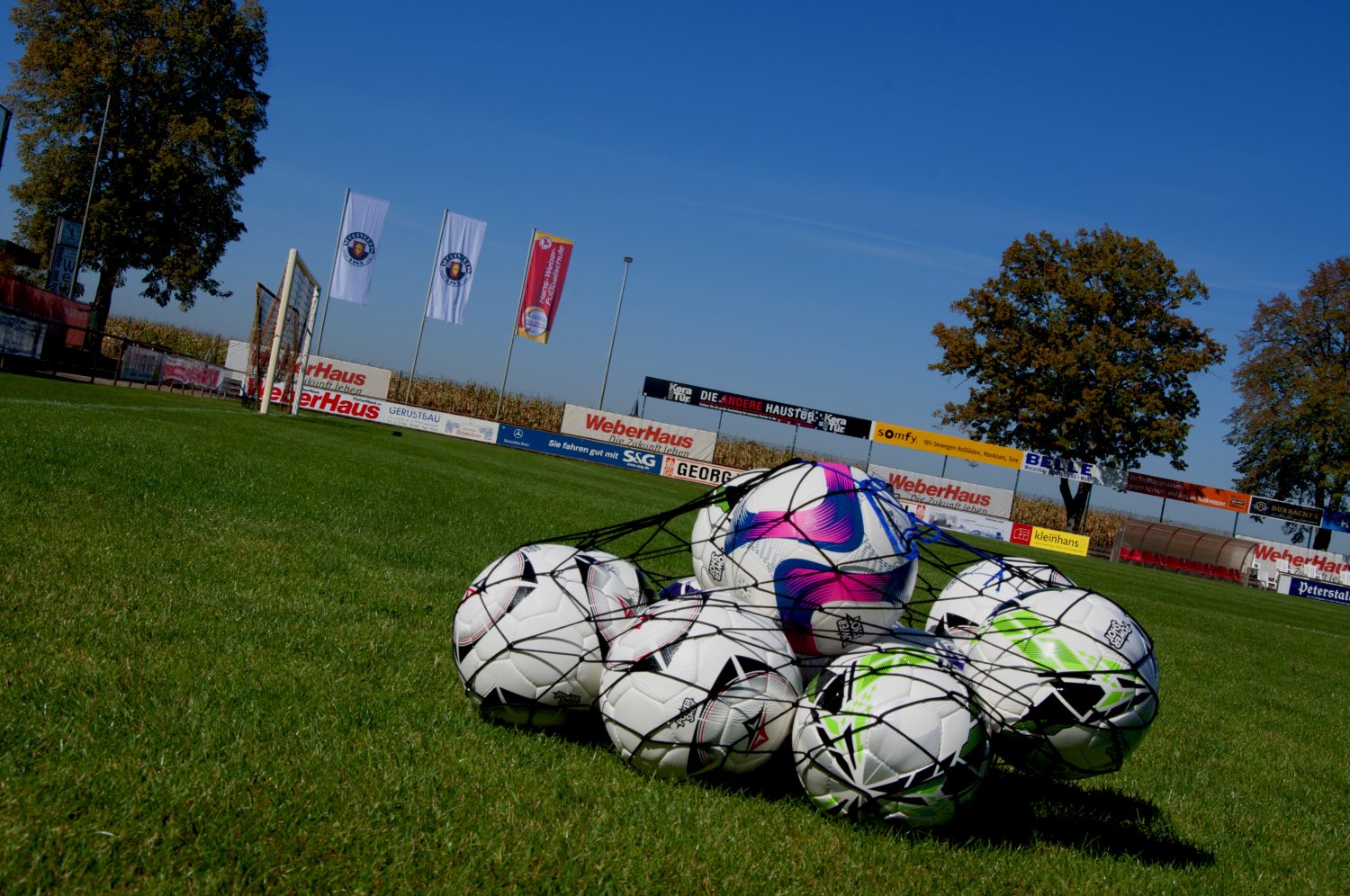 Ball storage net holds 6 balls
