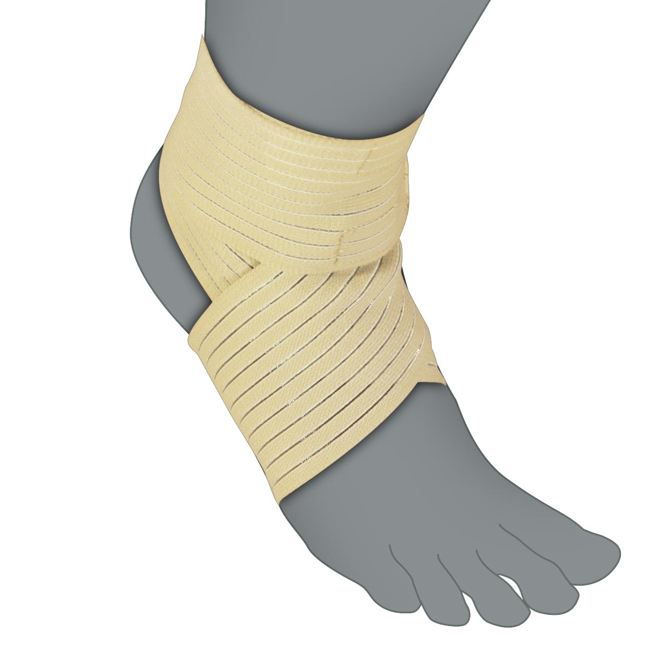 Ankle support band