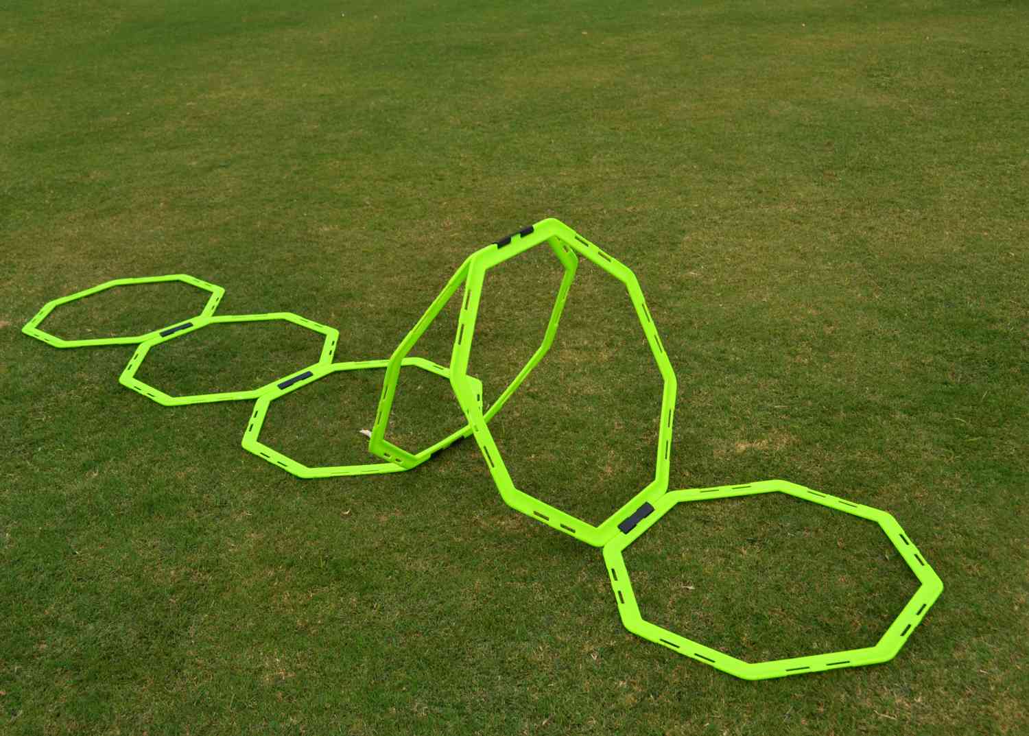 Achteckige Koordinationsleiter mit Tragetasche