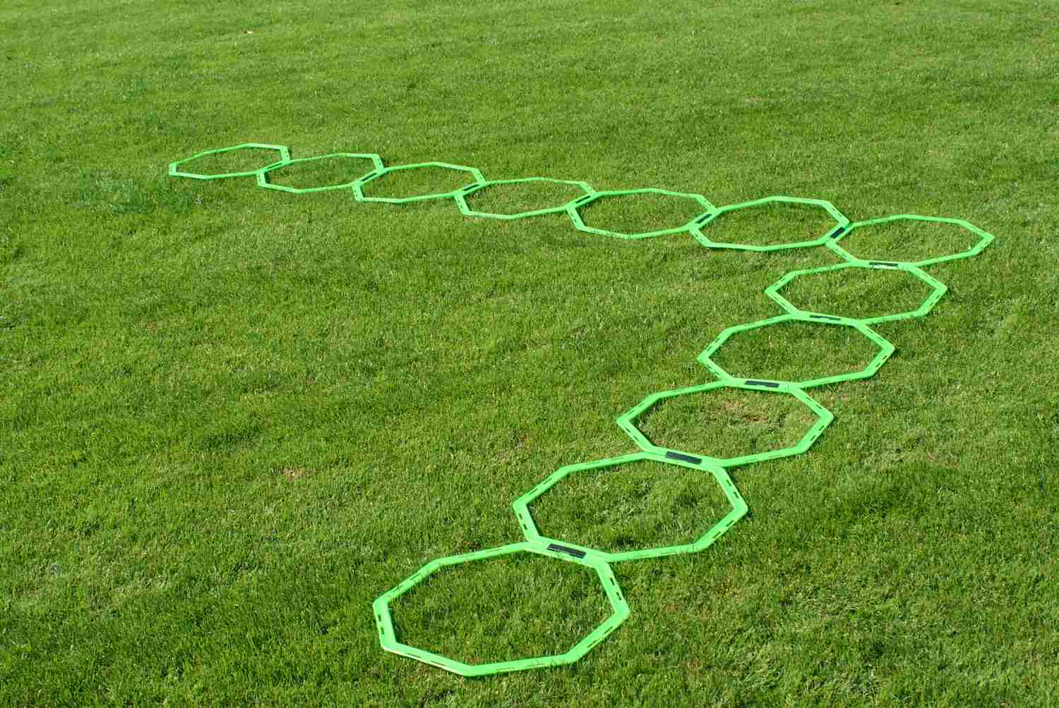 Achteckige Koordinationsleiter mit Tragetasche