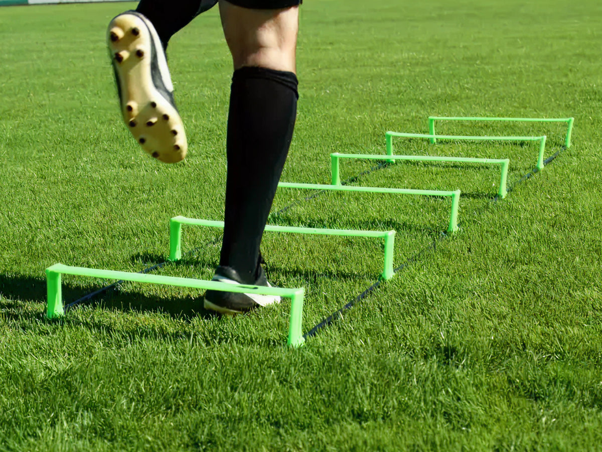 Faltbare Agility-Leiter mit Tragetasche