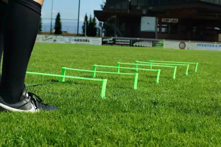 Faltbare Agility-Leiter mit Tragetasche