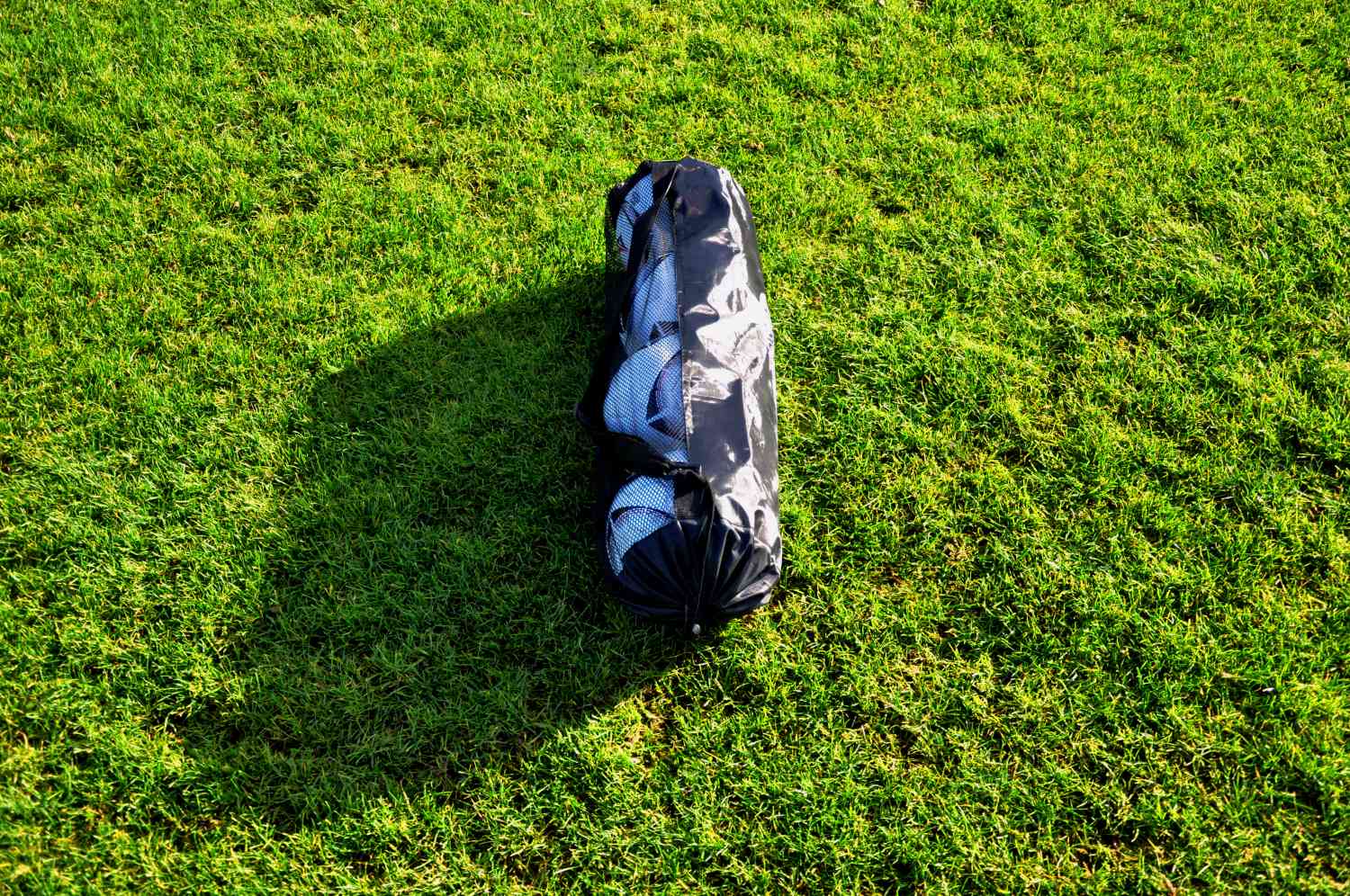 Balloon bag holds up to 4 balls