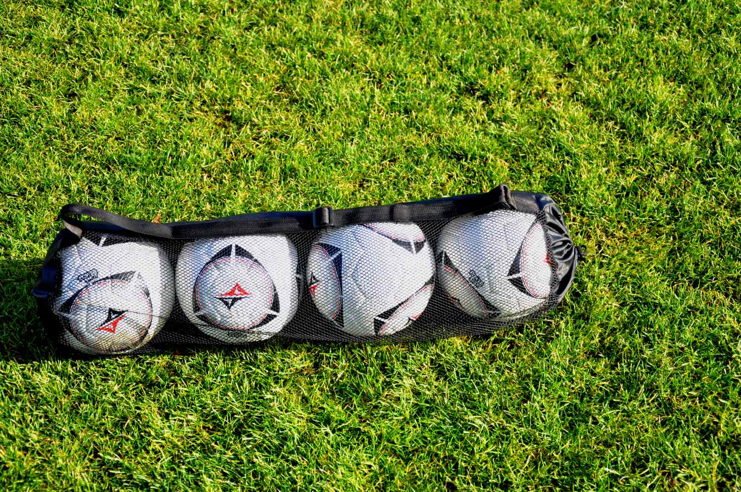 Balloon bag holds up to 4 balls