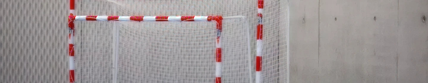 Handball goal